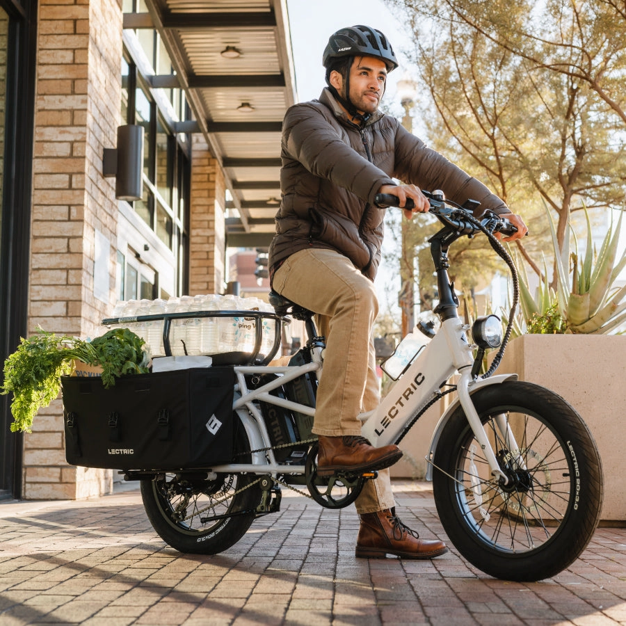 Legacy XL Cargo Pannier Bags (2)