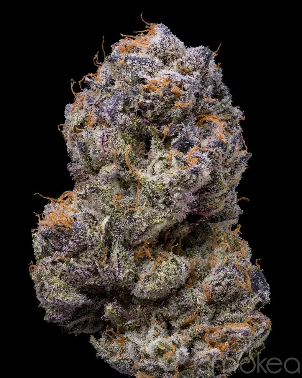 Lemonnade Cannabis Seeds - Lemongrass