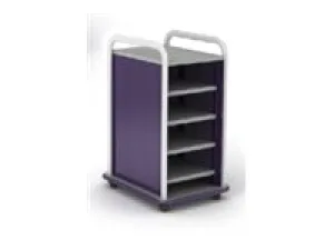 Paragon A&D Crossfit Storage - Trolley - 6 shelves - 16 gauge tubular steel, TFM CFS42OFSHLV-918OZO