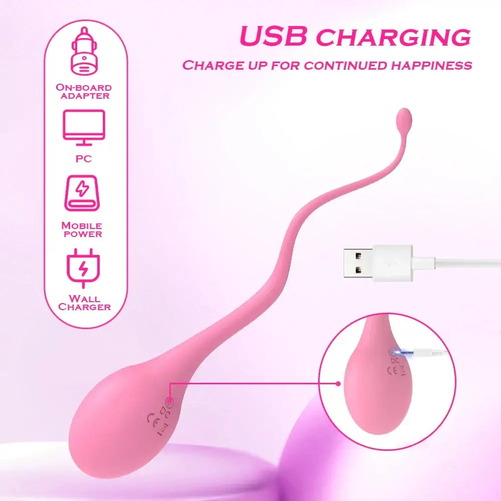 Remote Control Vibrating Egg 10 Vibration Modes